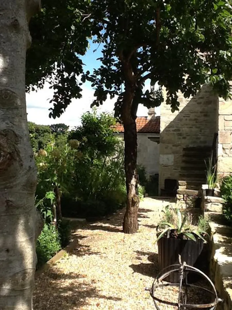 Garden at Rustic Bradford-on-Avon house, A1413 (photo 27)