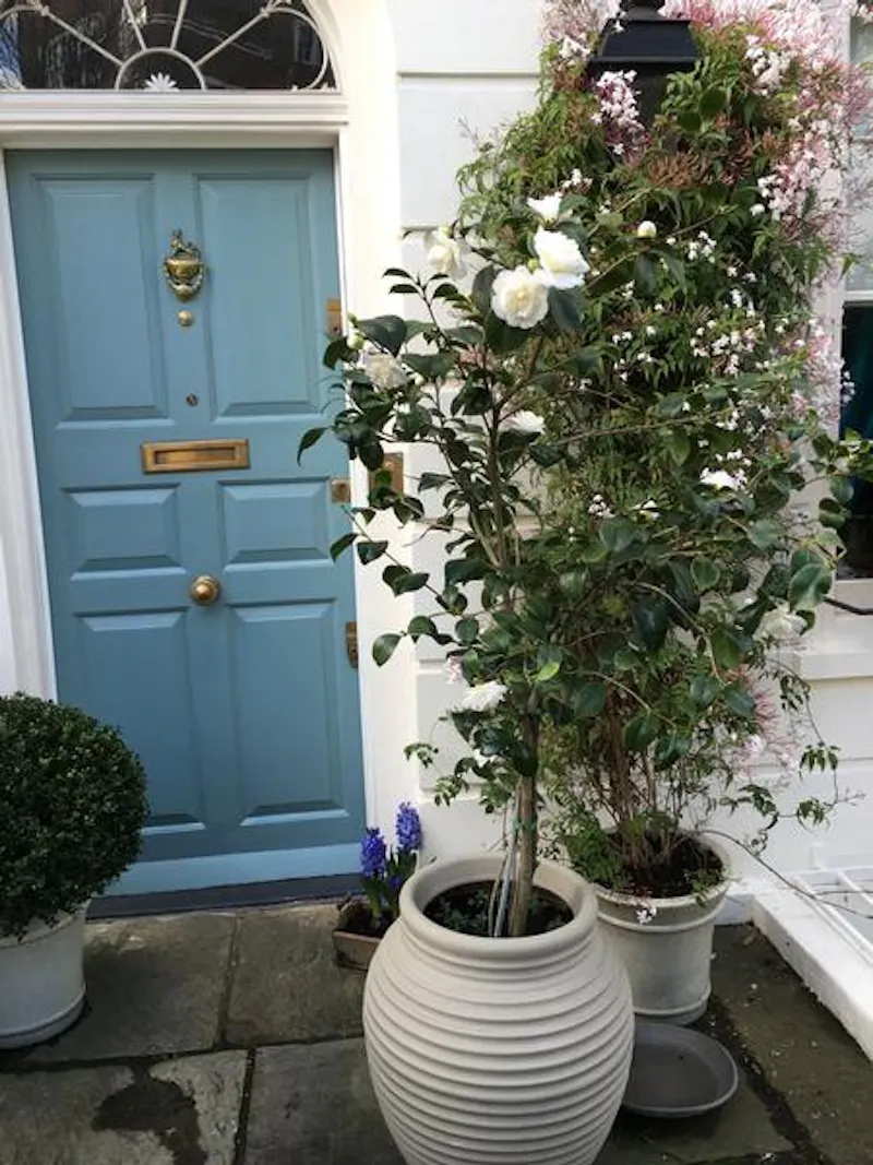 Traditional Ebury Street house, A1414 (photo 2)