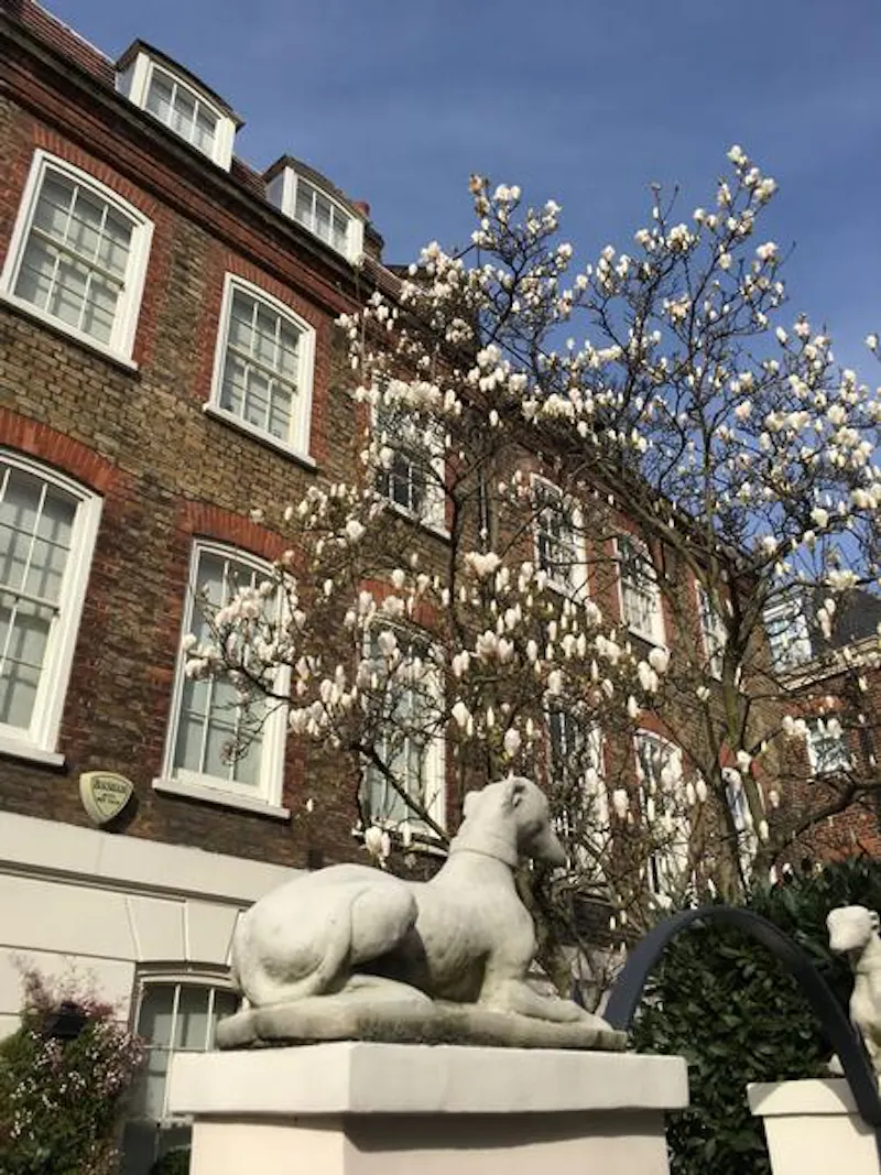 Traditional Ebury Street house, A1414 (photo 36)