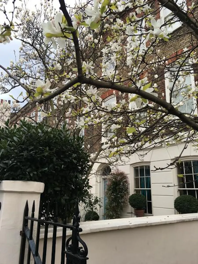 Traditional Ebury Street house, A1414 (photo 40)