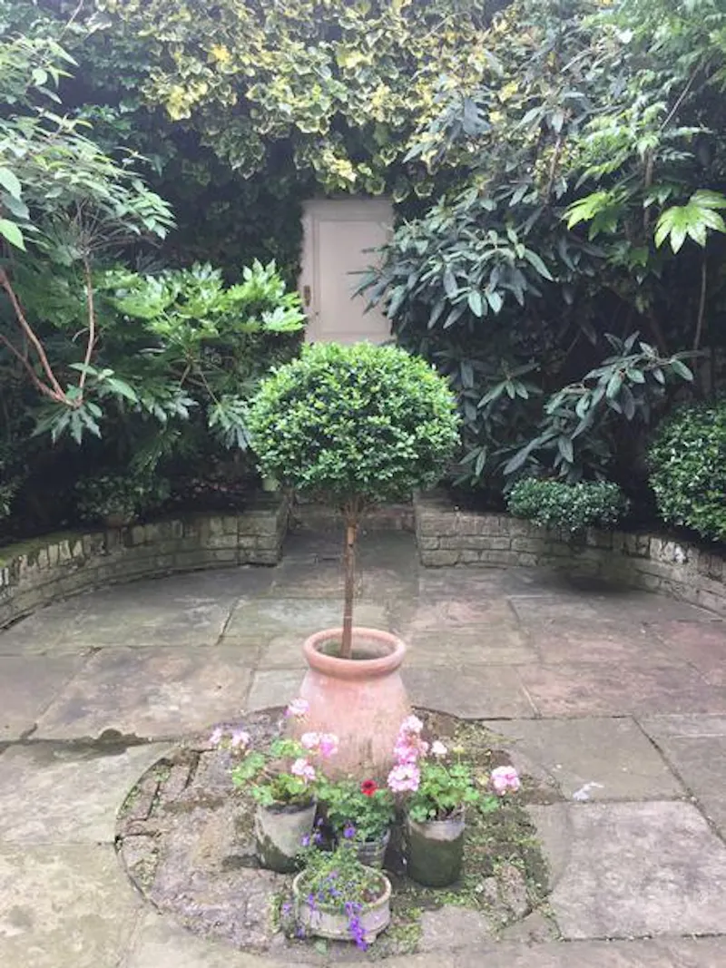 Traditional Ebury Street house, A1414 (photo 43)
