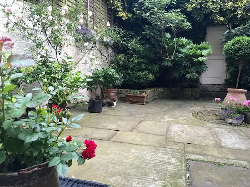 Traditional Ebury Street house, A1414 (photo 50)