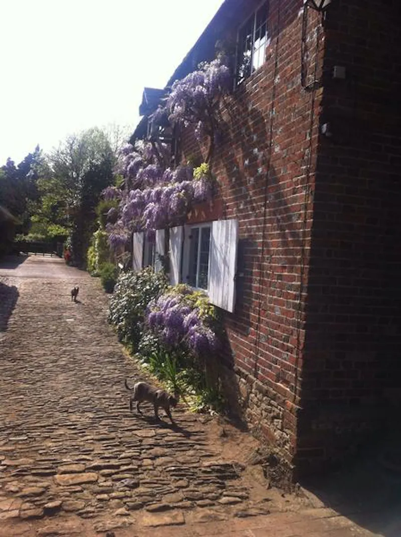 16th century Witley manor, M299 (photo 22)