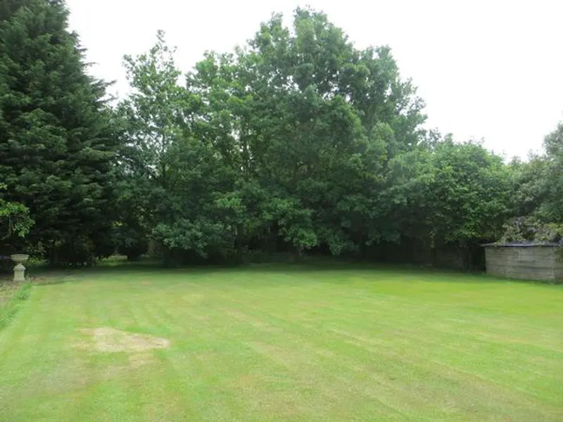 16th century Witley manor, M299 (photo 33)