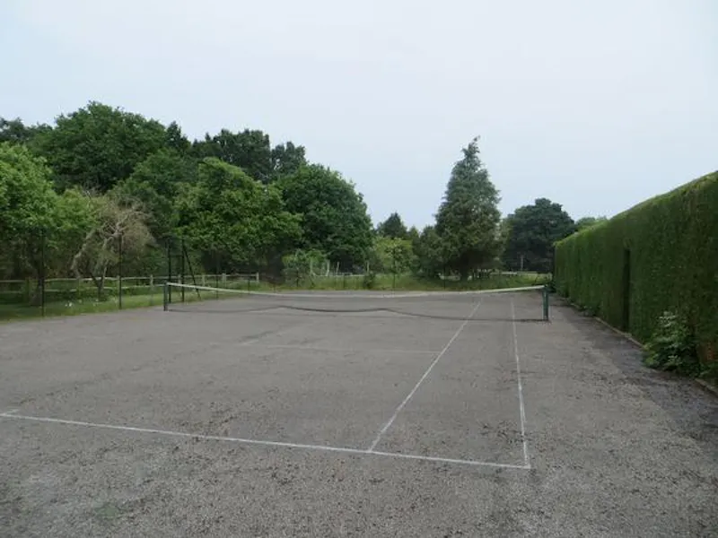 Tennis court at 16th century Witley manor, M299 (photo 38)