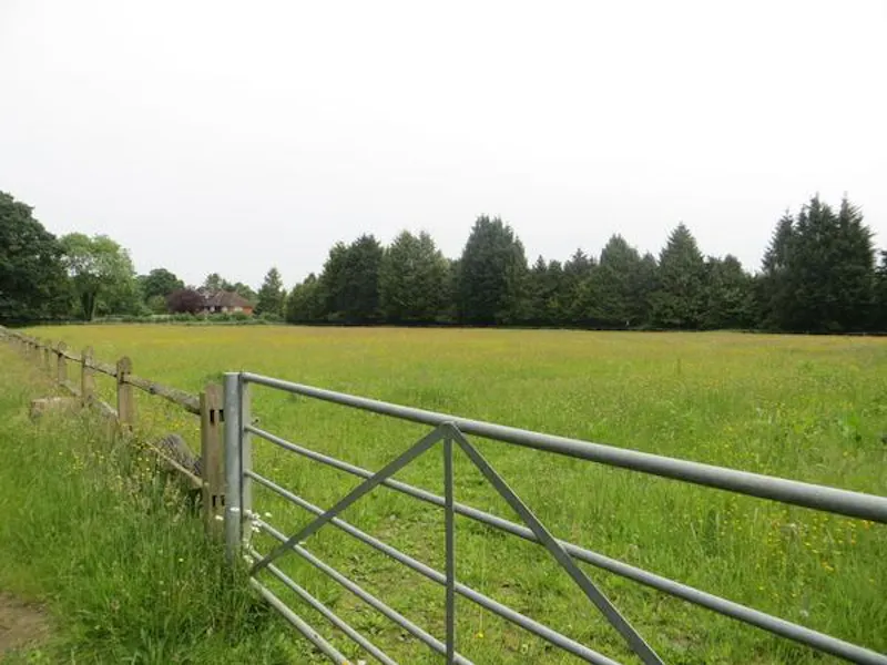 16th century Witley manor, M299 (photo 39)