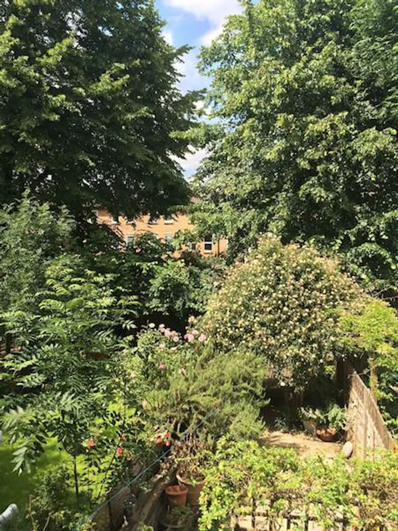 Garden at Colourful Clapton house, B1737 (photo 37)