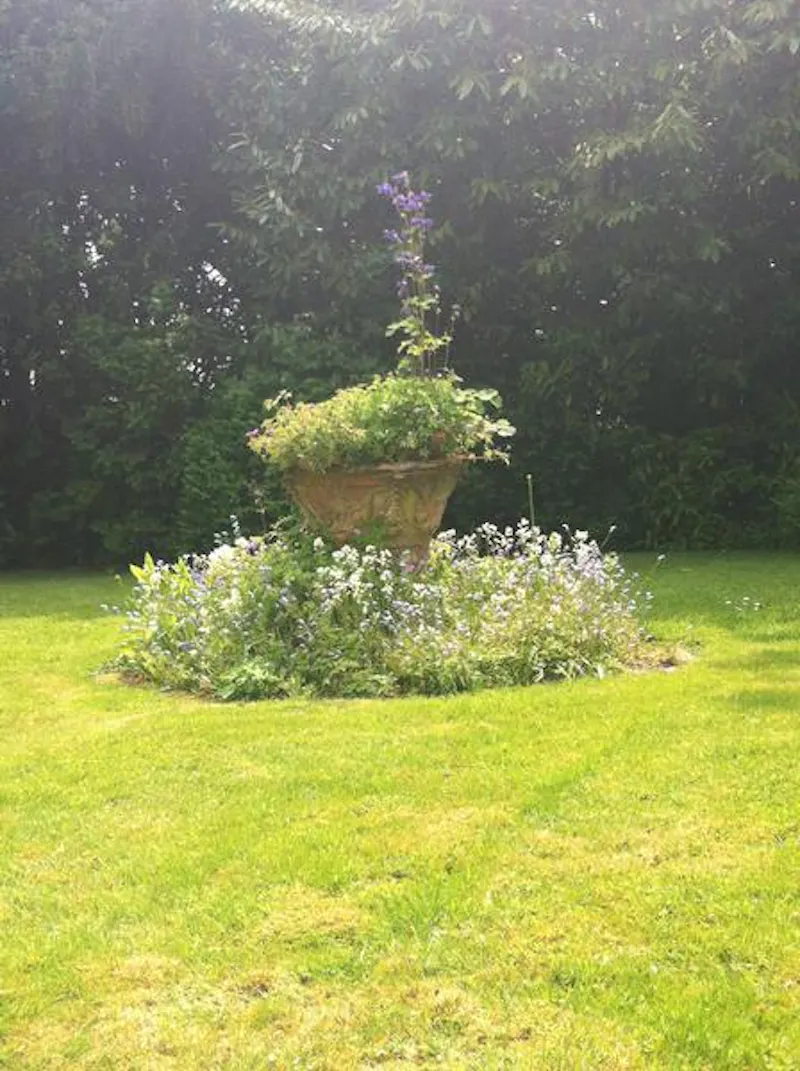 Garden at Distressed mansion near Derby, B1741 (photo 44)