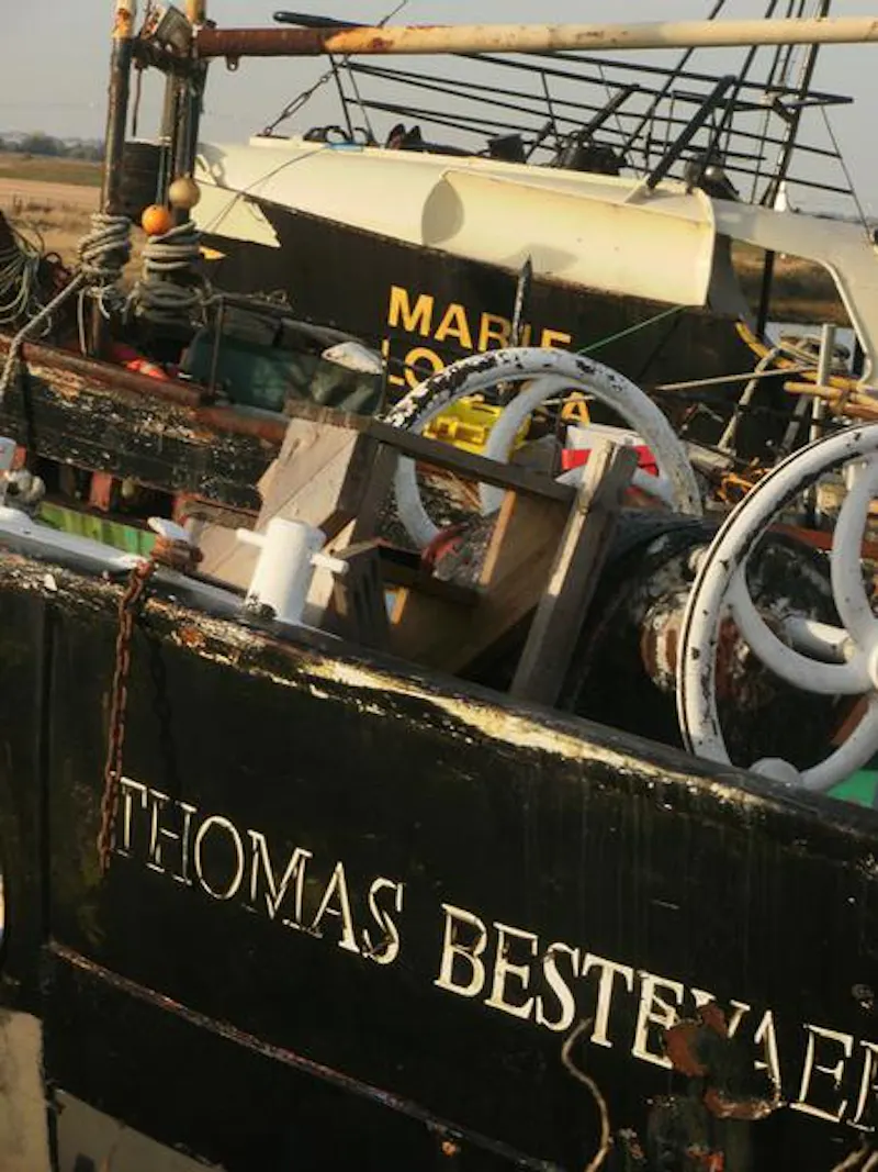 Working boat yard in Great Wakering, V152 (photo 20)