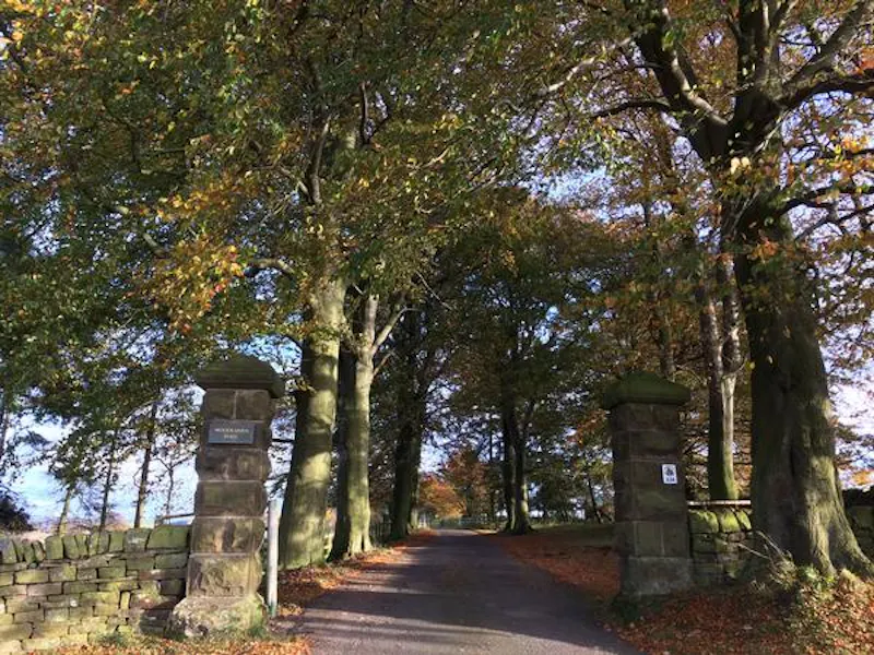 Driveway at Grade II home outside Durham, A1418 (photo 18)