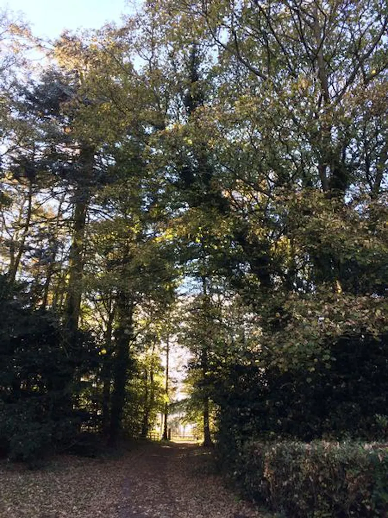 Grade II home outside Durham, A1418 (photo 19)