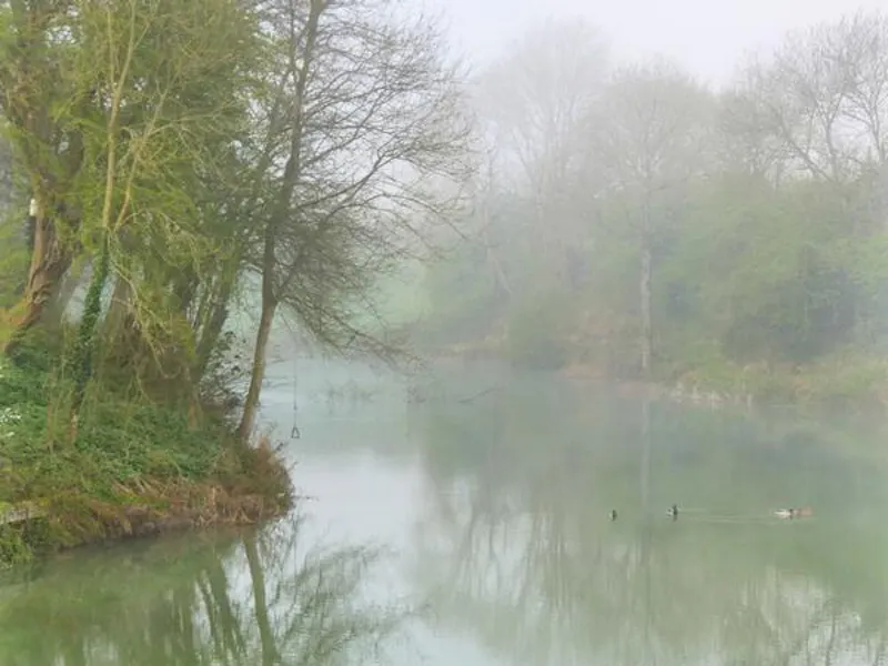 Film location D2310 in East Sussex (photo 8)