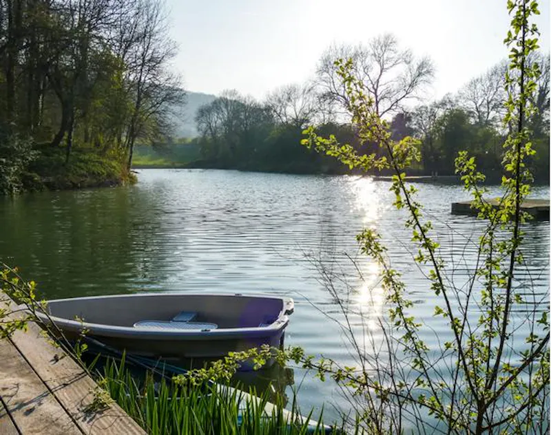 Film location D2310 in East Sussex (photo 13)
