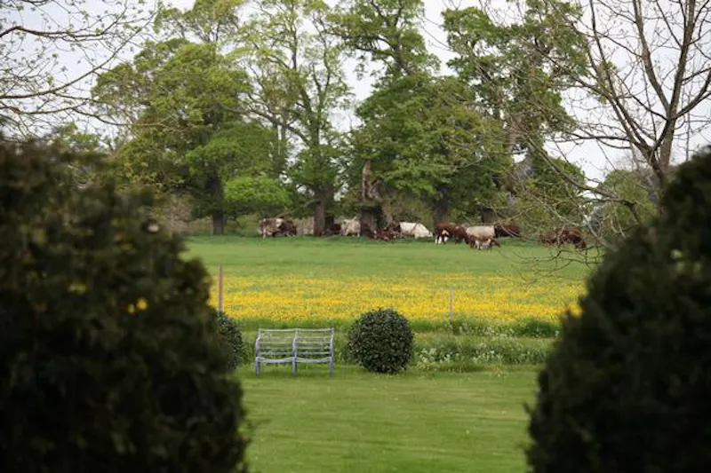 St Neots Grand estate, A1422 (photo 10)