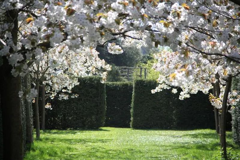 St Neots Grand estate, A1422 (photo 21)