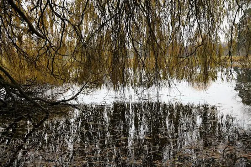 St Neots Grand estate, A1422 (photo 29)