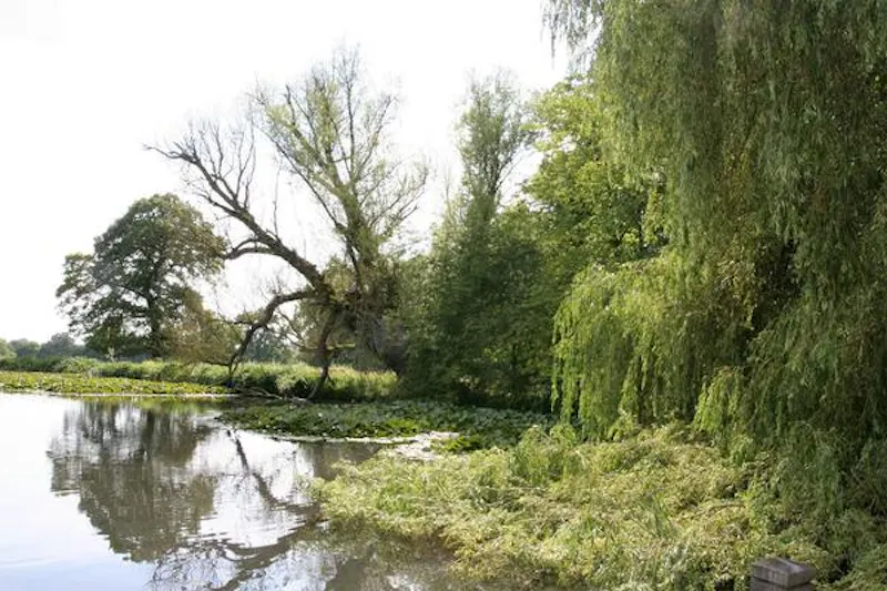 St Neots Grand estate, A1422 (photo 30)