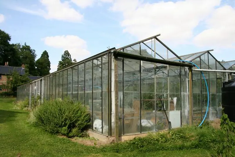 Greenhouse at St Neots Grand estate, A1422 (photo 47)