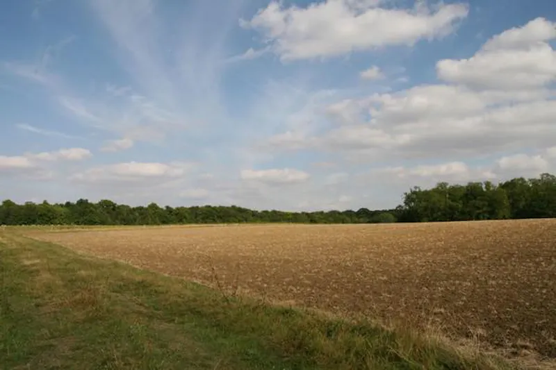 St Neots Grand estate, A1422 (photo 48)
