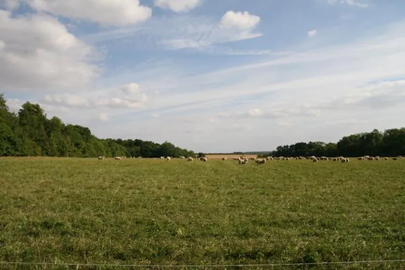 Views - country at St Neots Grand estate, A1422 (photo 49)