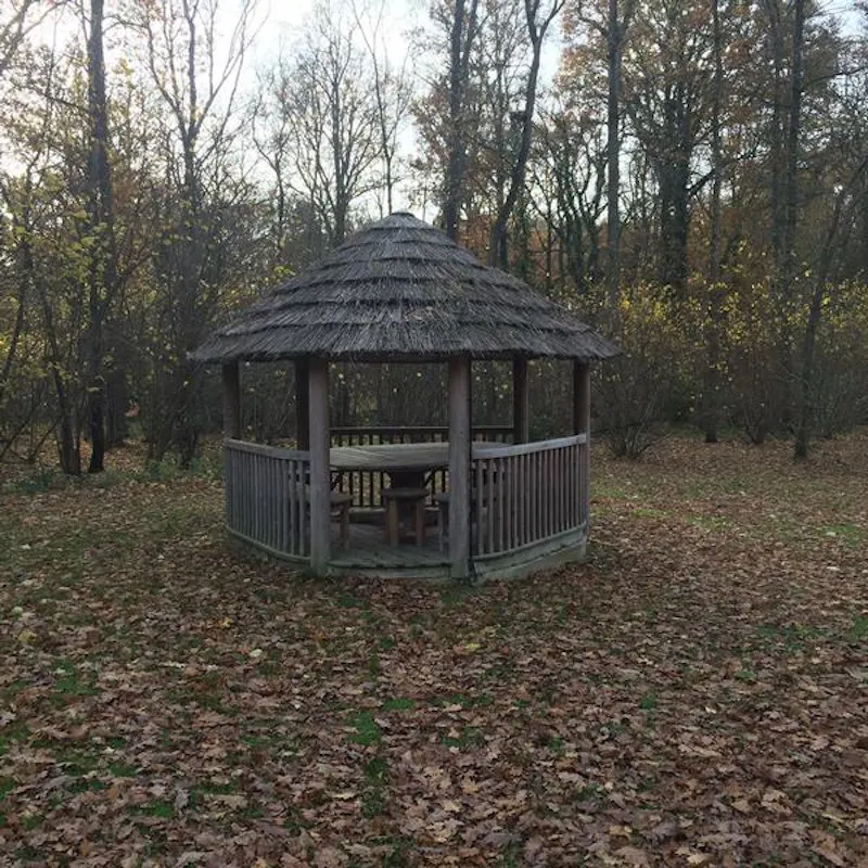 Film location D2284 in Surrey (photo 24)