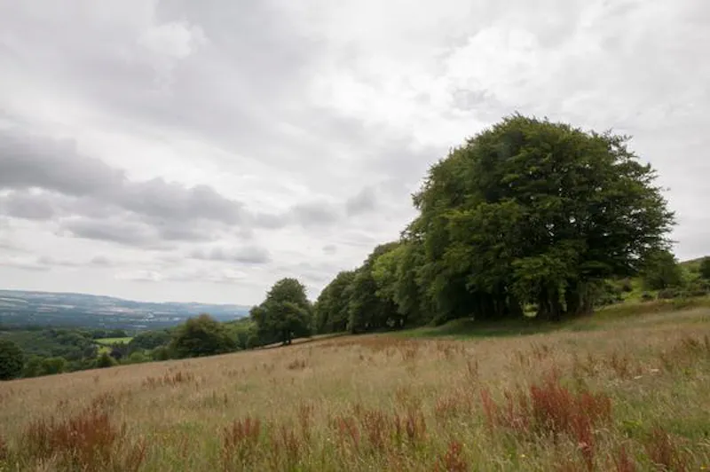 Countryside at Dartmoor Tudor manor, M301 (photo 11)