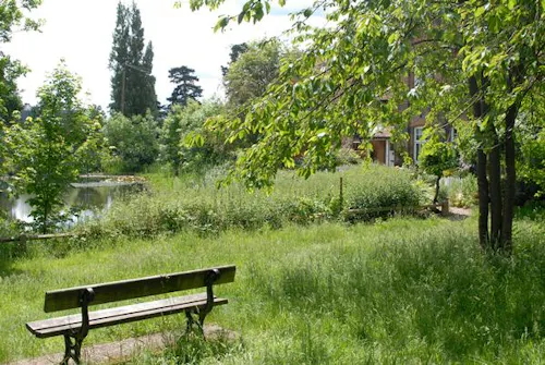 Communal park close to Elstree, V154