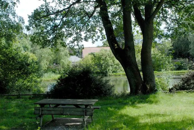 Communal park close to Elstree, V154 (photo 6)