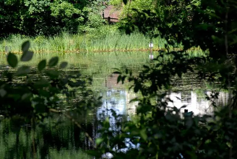Communal park close to Elstree, V154 (photo 7)