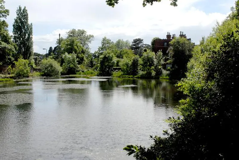 Lake at Communal park close to Elstree, V154 (photo 8)