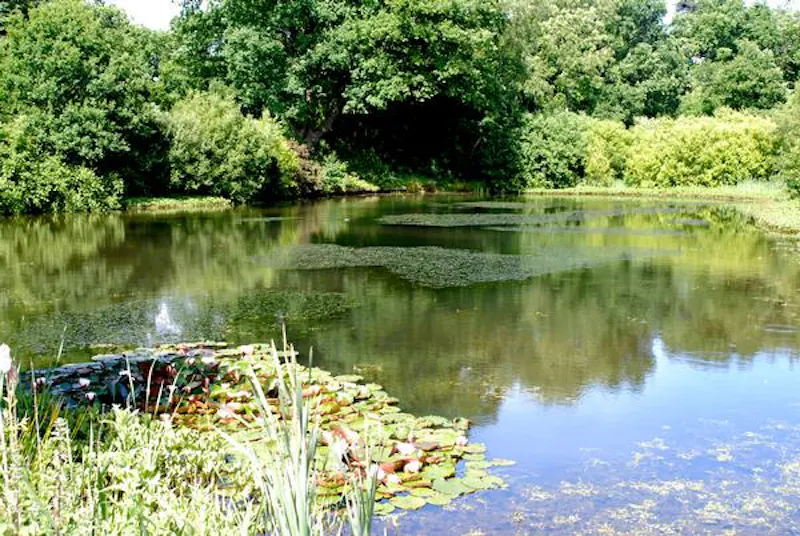 Communal park close to Elstree, V154 (photo 9)