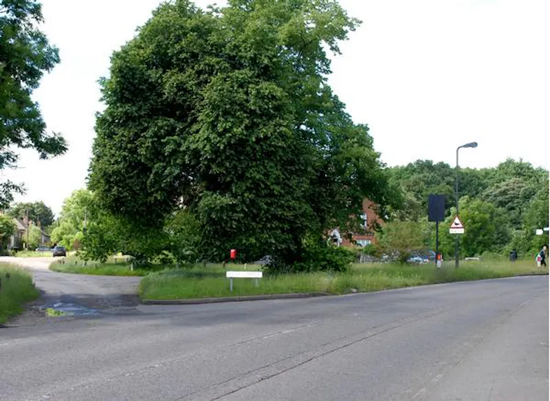 Communal park close to Elstree, V154 (photo 18)