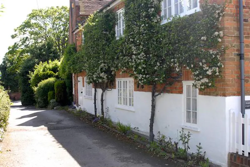 Communal park close to Elstree, V154 (photo 19)