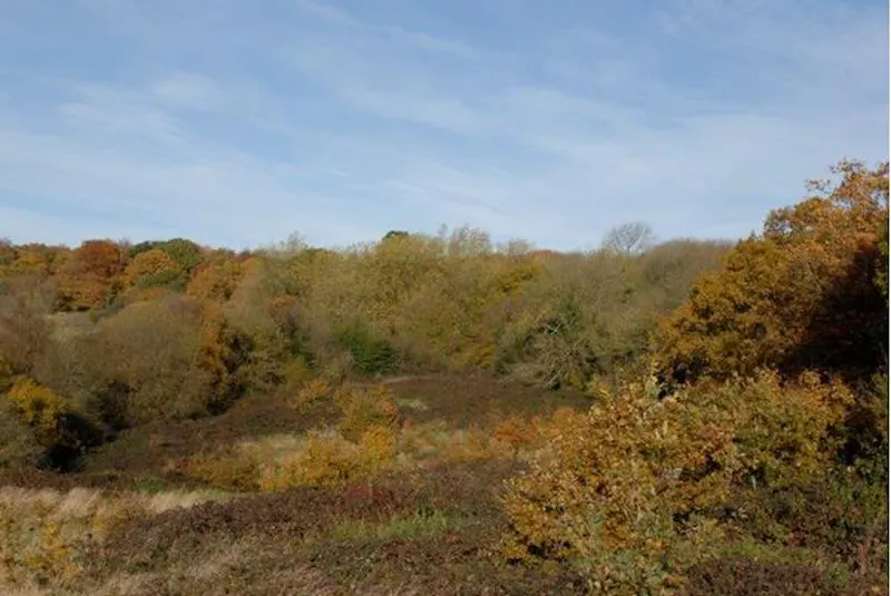 Film location L663 in Middlesex (photo 23)