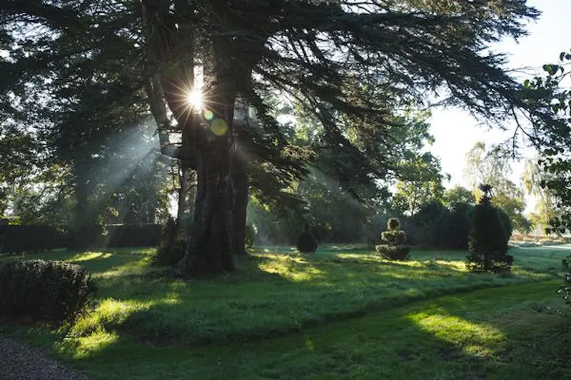 Woodland at 17th century Northampton Gem, H178 (photo 65)