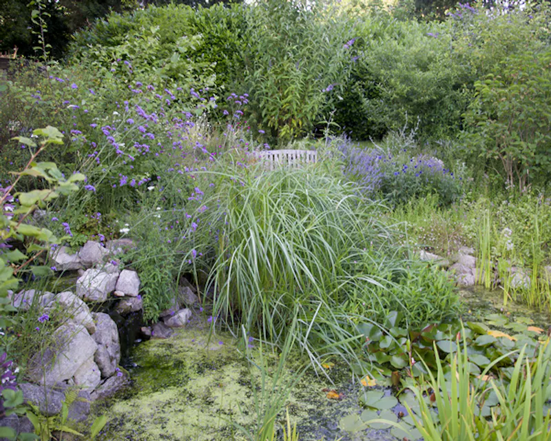 Pond at Reigate Heath detached Home, D2296 (photo 32)