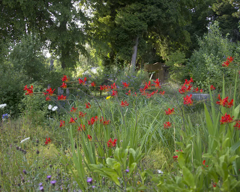 Garden - wild at Reigate Heath detached Home, D2296 (photo 33)