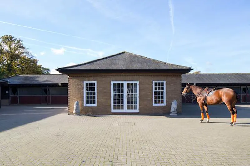 Polo estate with extensive grounds, V155 (photo 36)