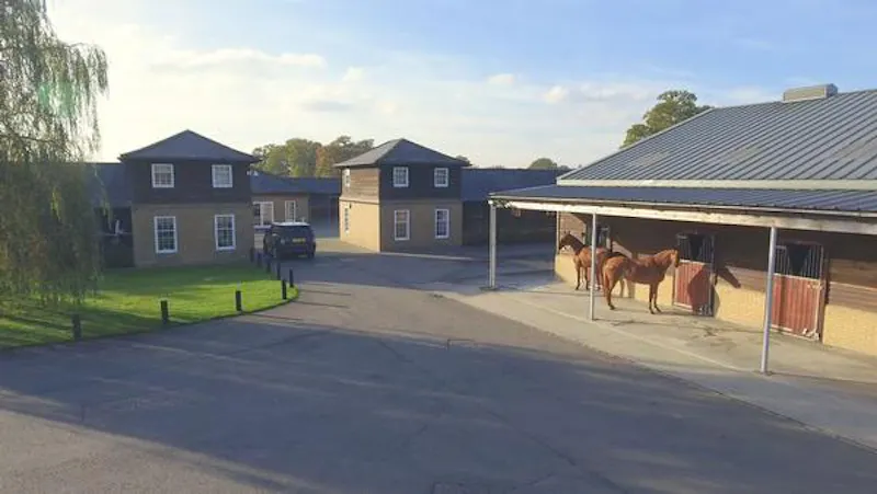Polo estate with extensive grounds, V155 (photo 38)