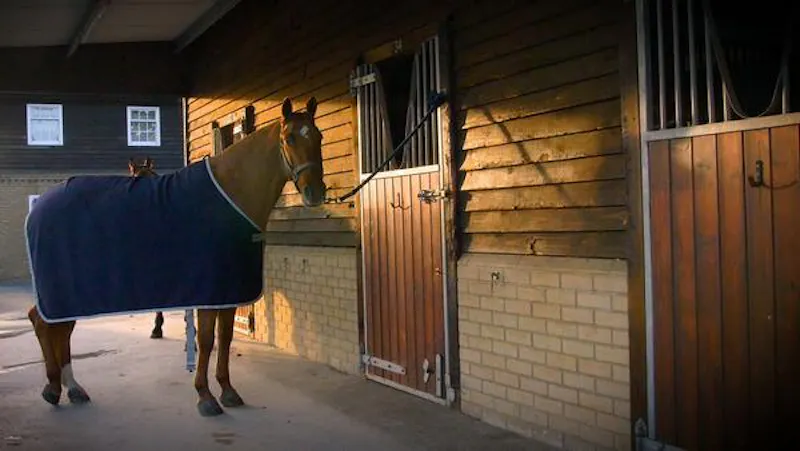 Stable / Outbuildings at Polo estate with extensive grounds, V155 (photo 39)
