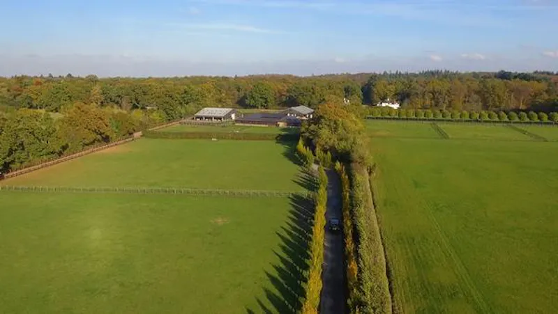 Polo estate with extensive grounds, V155 (photo 44)