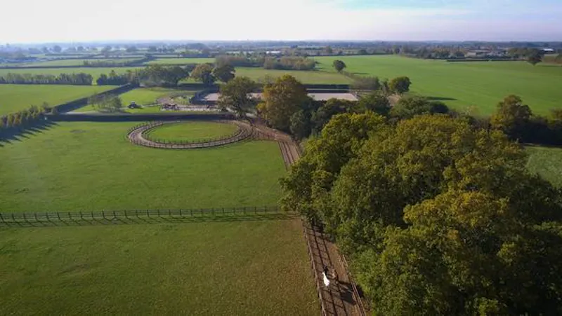 Polo estate with extensive grounds, V155 (photo 47)