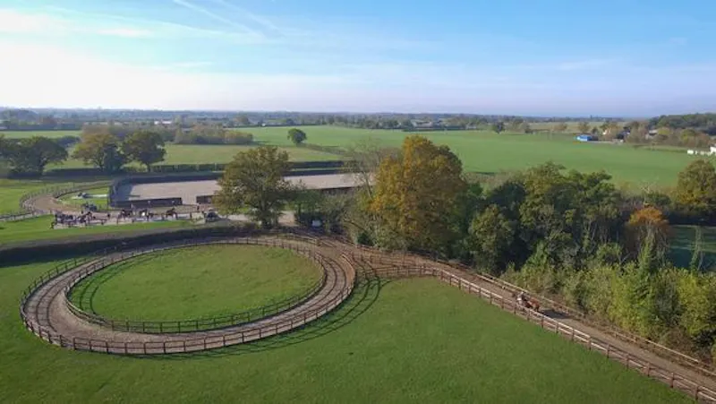 Polo estate with extensive grounds, V155 (photo 50)