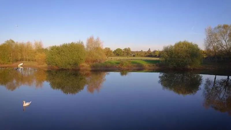 Polo estate with extensive grounds, V155 (photo 52)