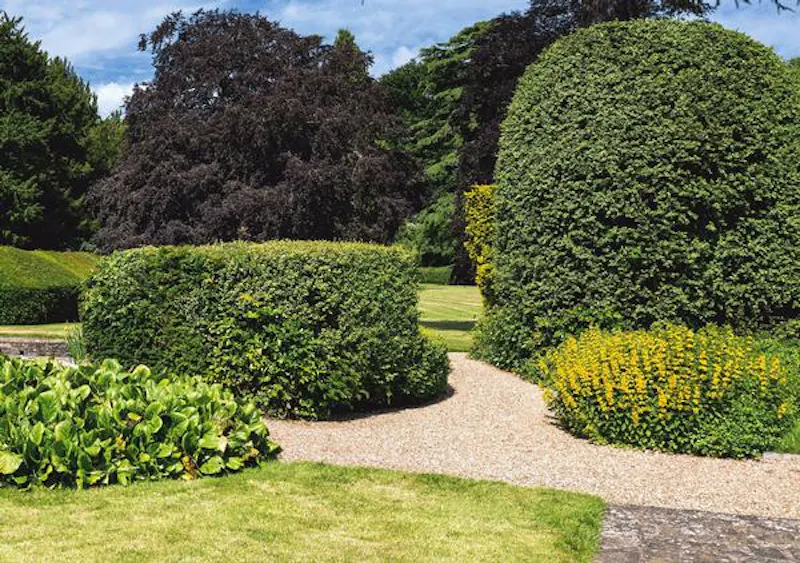 Magical Missenden manor, M303 (photo 9)