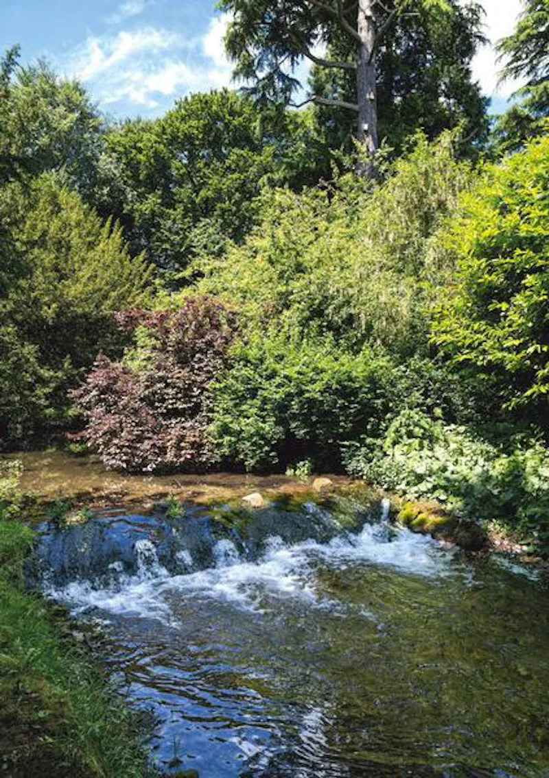 Magical Missenden manor, M303 (photo 14)
