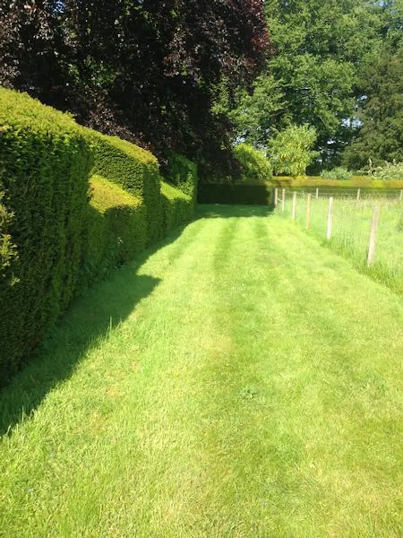 Magical Missenden manor, M303 (photo 19)