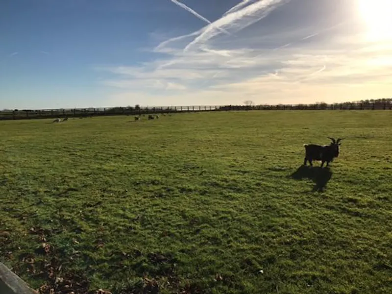 Views - country at Faringdon farmhouse, B1762 (photo 55)