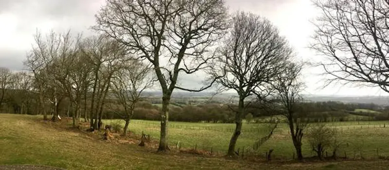 Views - country at Sussex timber stills location, D2308 (photo 32)