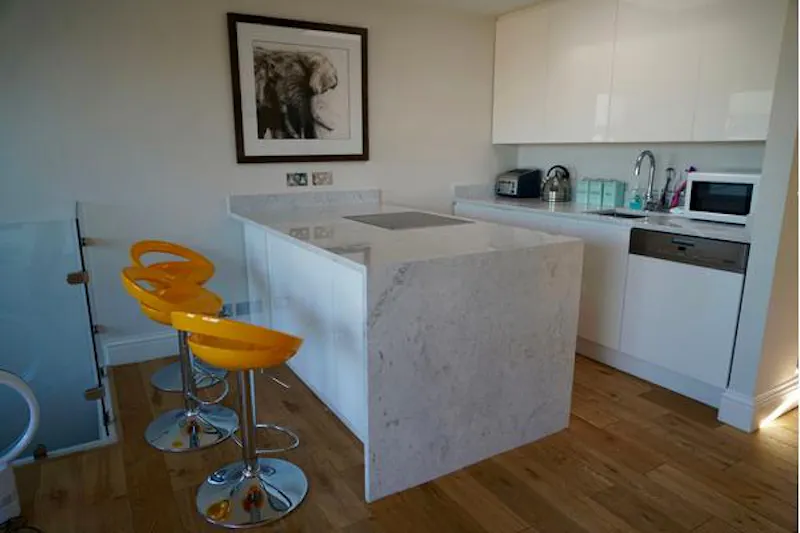 Open plan apartment in Chelsea., F1141 (photo 6)